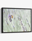 Rustic Canvas Wall Art, 'Lavender for Bees'
