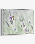 Rustic Canvas Wall Art, 'Lavender for Bees'