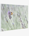Rustic Canvas Wall Art, 'Lavender for Bees'