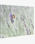 Rustic Canvas Wall Art, 'Lavender for Bees'