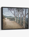 Santa Monica Mountains Pacific Palisade Canvas Wall Art, 'A Storm at Will Rogers'