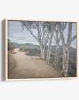 Santa Monica Mountains Pacific Palisade Canvas Wall Art, 'A Storm at Will Rogers'