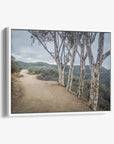 Santa Monica Mountains Pacific Palisade Canvas Wall Art, 'A Storm at Will Rogers'