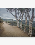 Santa Monica Mountains Pacific Palisade Canvas Wall Art, 'A Storm at Will Rogers'