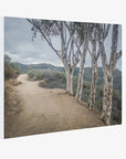 Santa Monica Mountains Pacific Palisade Canvas Wall Art, 'A Storm at Will Rogers'