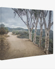 Santa Monica Mountains Pacific Palisade Canvas Wall Art, 'A Storm at Will Rogers'