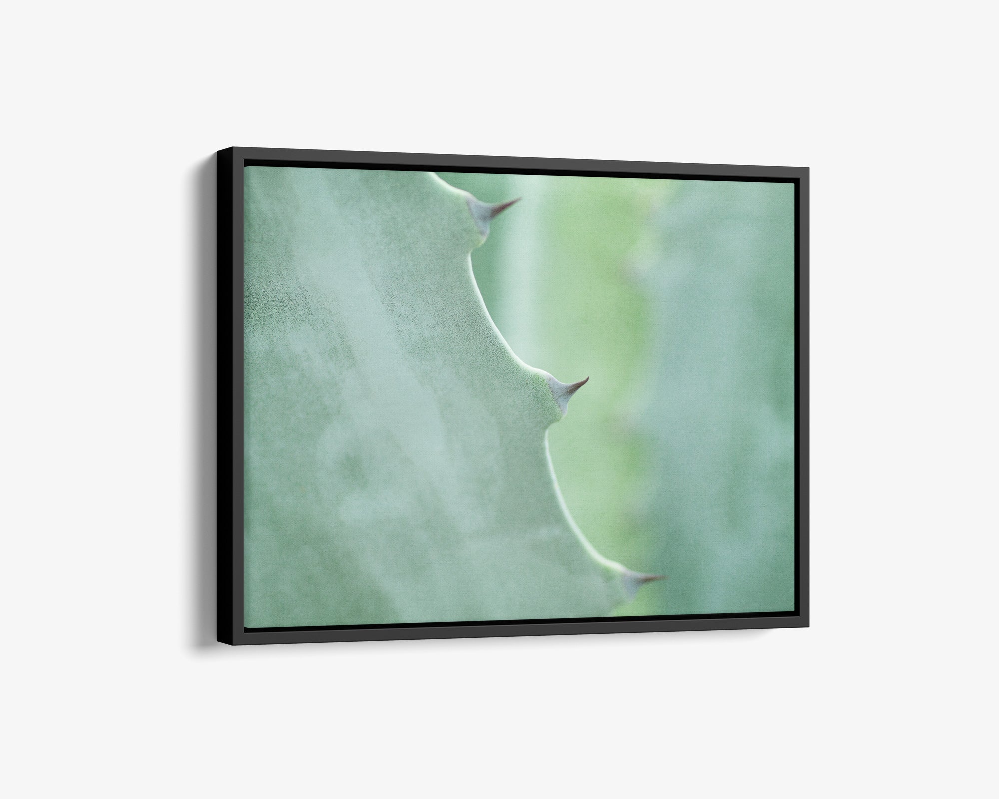 Mint Green Botanical Wall Art, 'Aloe Vera Spikes'