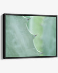 Mint Green Botanical Wall Art, 'Aloe Vera Spikes'