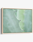 Mint Green Botanical Wall Art, 'Aloe Vera Spikes'