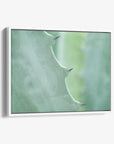 Mint Green Botanical Wall Art, 'Aloe Vera Spikes'