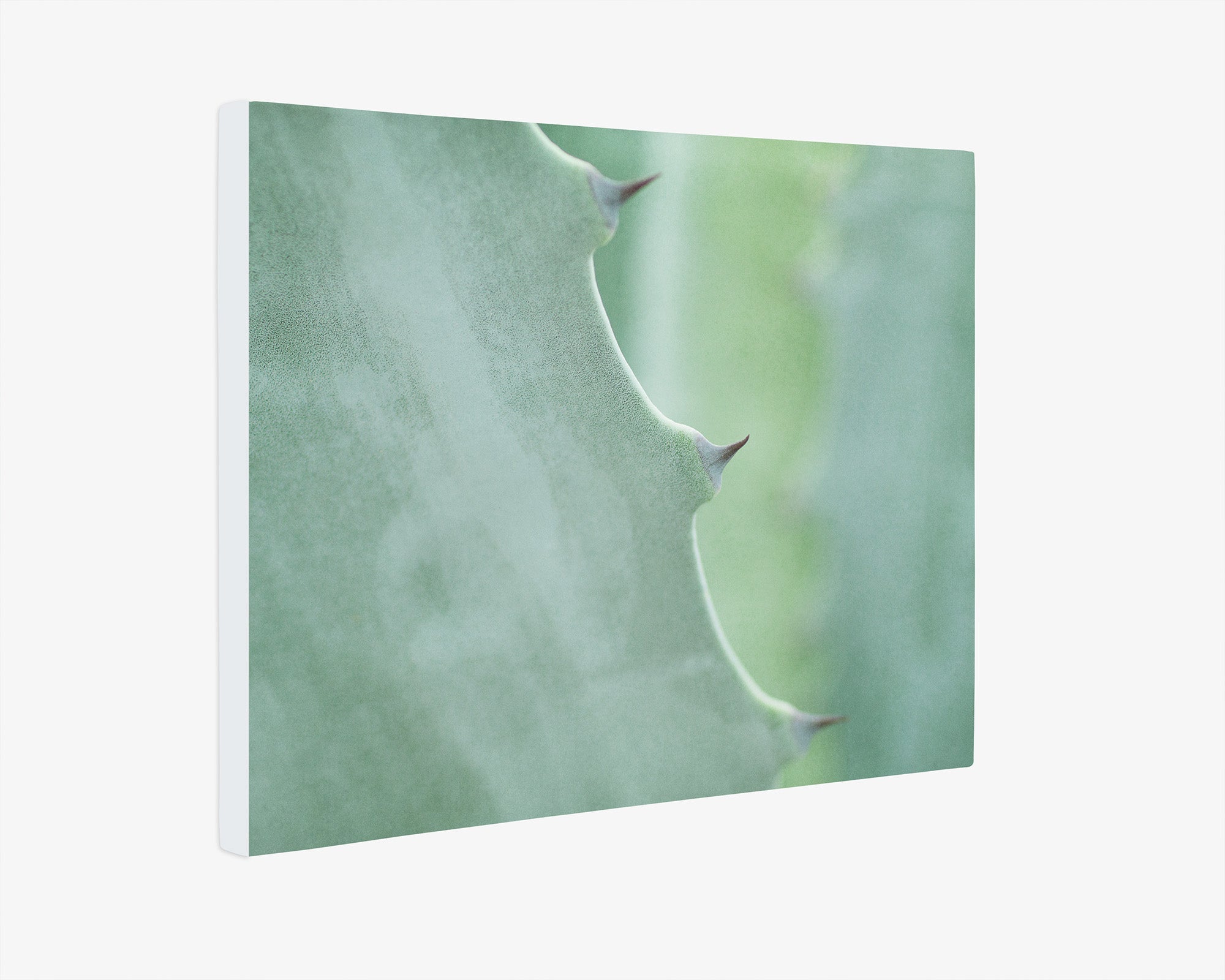 Mint Green Botanical Wall Art, 'Aloe Vera Spikes'