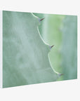 Mint Green Botanical Wall Art, 'Aloe Vera Spikes'
