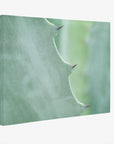 Mint Green Botanical Wall Art, 'Aloe Vera Spikes'