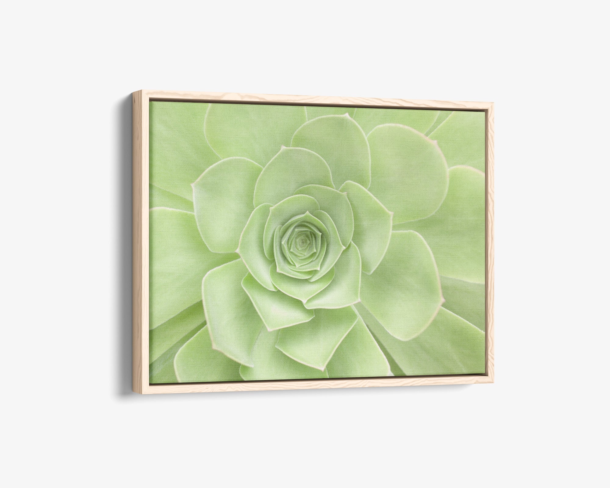 succulent plant wall decor Green Succulent Canvas Wall Art, Abstract Botanical Decor in Multiple Print Sizes