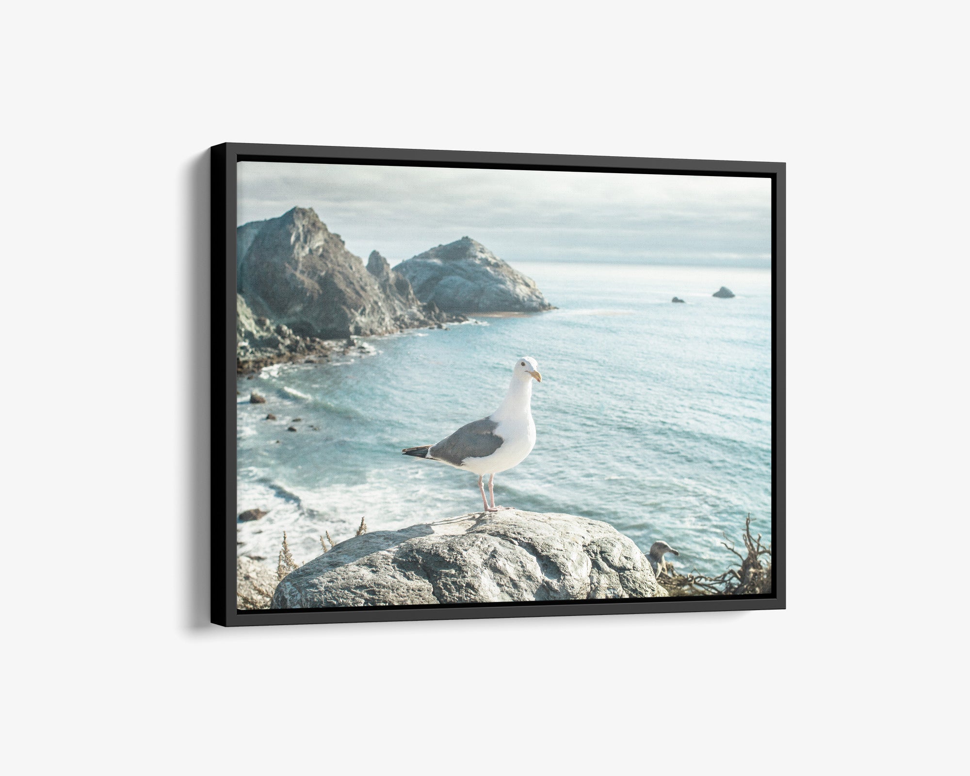 Northern California Big Sur Landscape Canvas, 'Lobster Mornay For Tea'