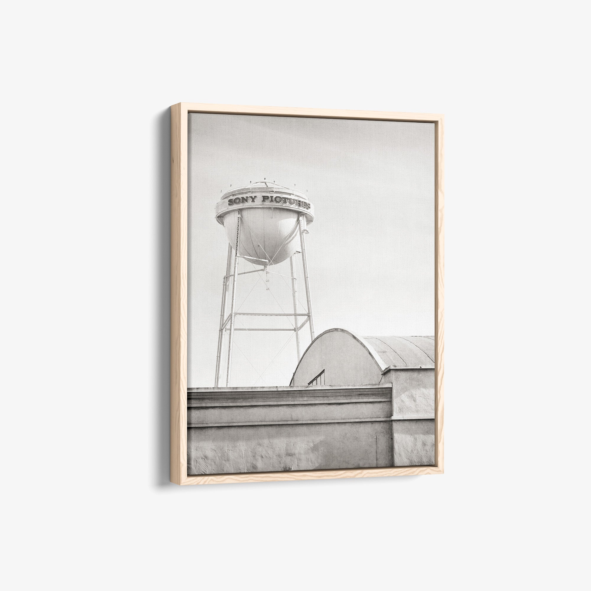Hollywood Studio Themed Wall Art 'Sony Black and White Portrait'