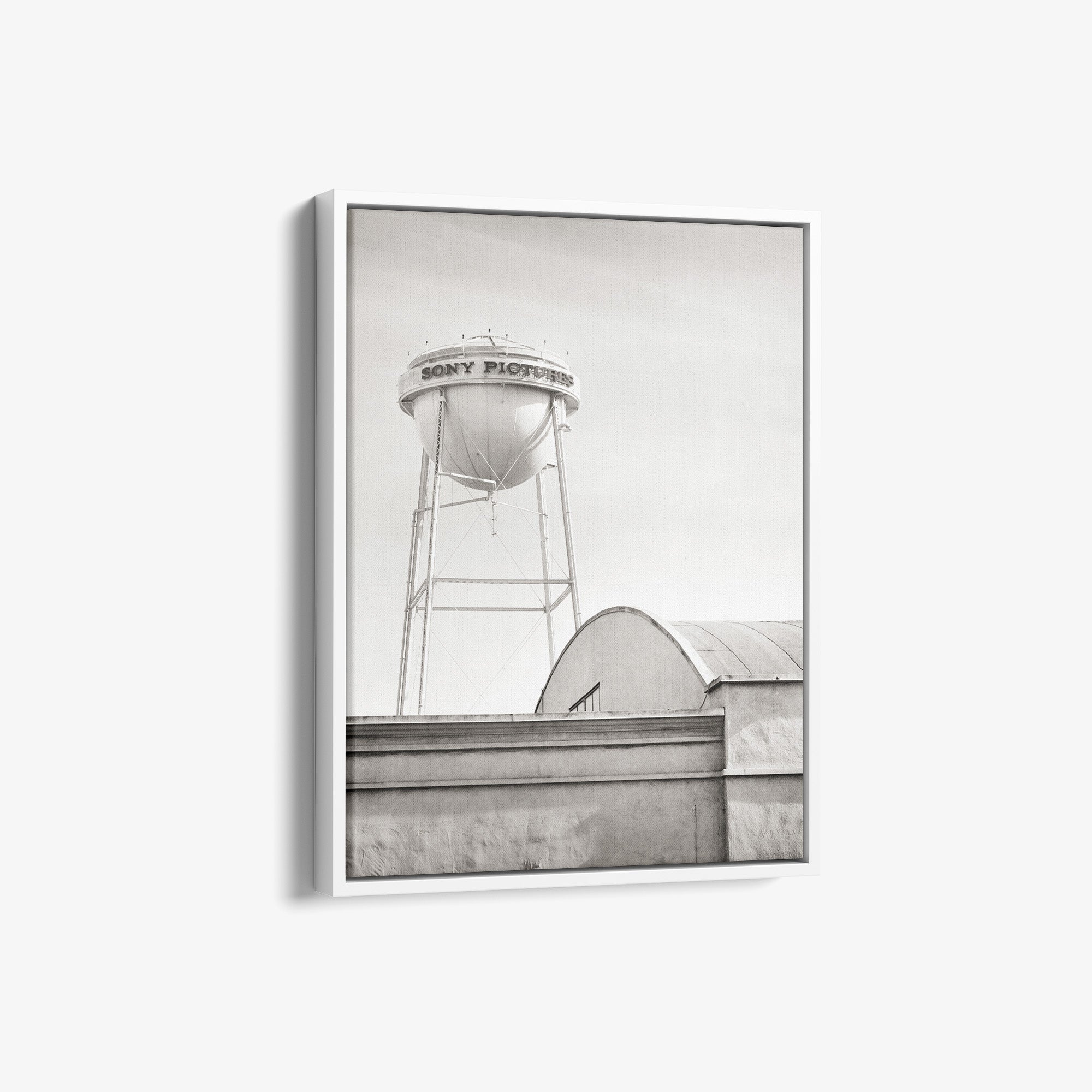Hollywood Studio Themed Wall Art 'Sony Black and White Portrait'