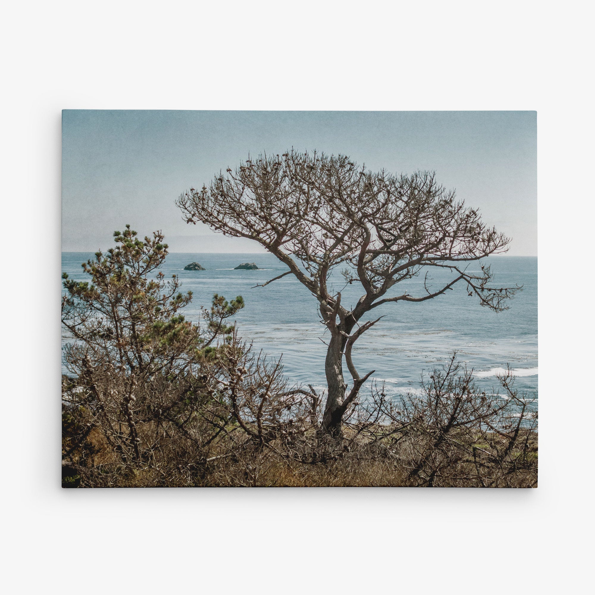 A tranquil scene featuring a leafless tree standing on a cliffside, overlooking a calm sea with the faint outlines of rocky islands against a hazy sky, is perfect for home decor. The foreground's various bushes and smaller trees add depth to this picturesque setting, making it an ideal choice for Offley Green's 30x40 Coastal Canvas Print (Choose from 10+ Designs).