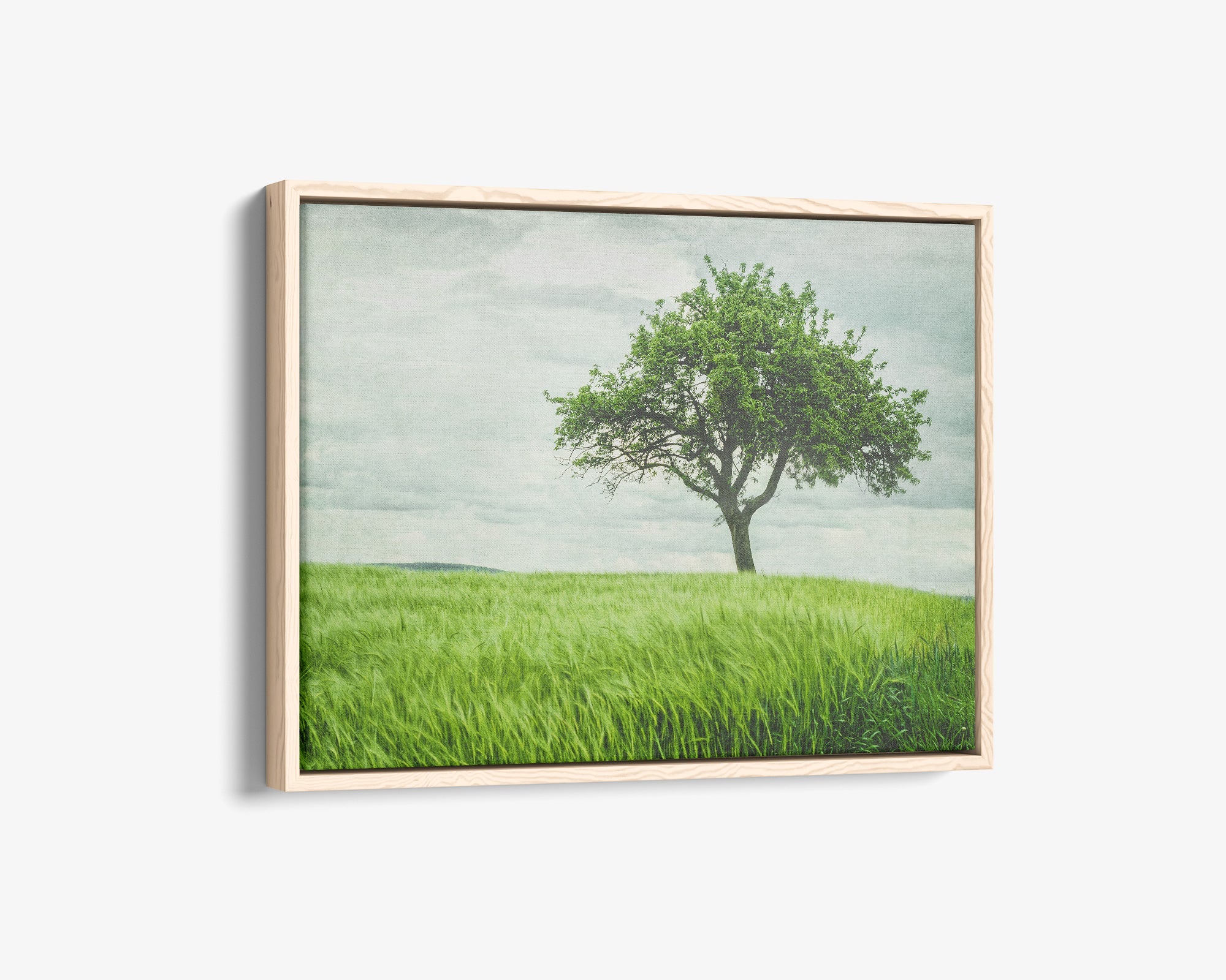 Rustic Countryside Canvas Wall Art, 'Tree in a Field'