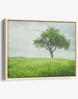 Rustic Countryside Canvas Wall Art, 'Tree in a Field'