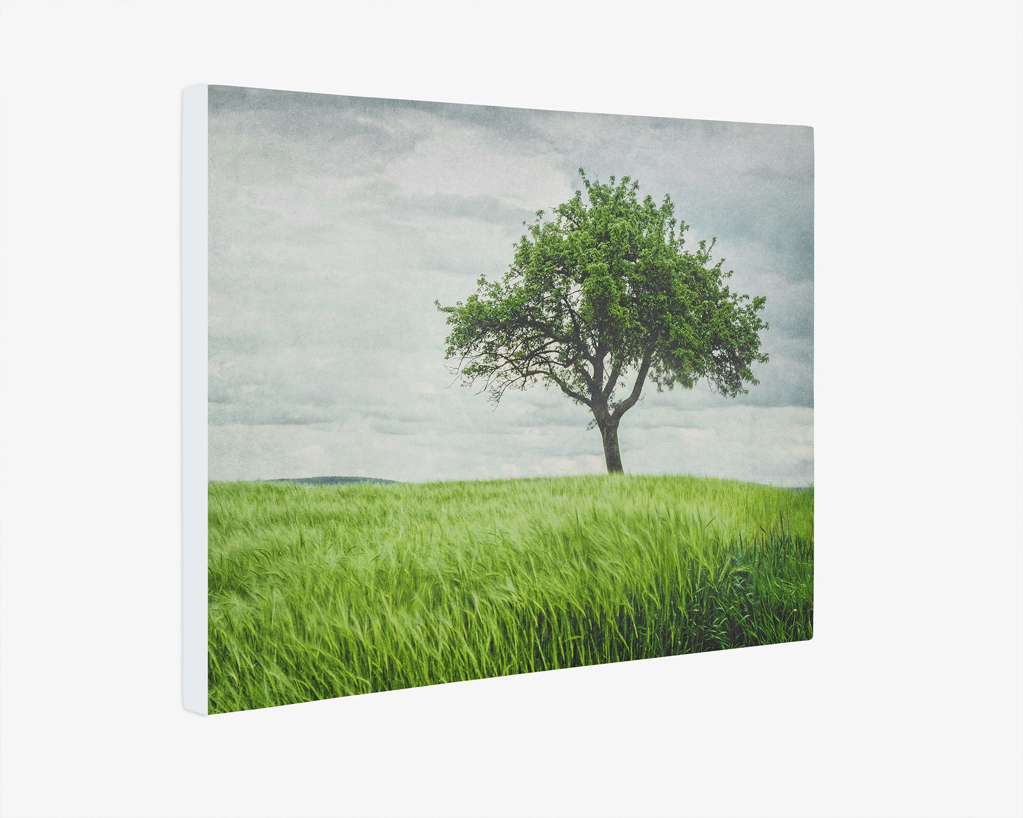 Rustic Countryside Canvas Wall Art, 'Tree in a Field'