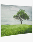 Rustic Countryside Canvas Wall Art, 'Tree in a Field'