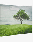 Rustic Countryside Canvas Wall Art, 'Tree in a Field'