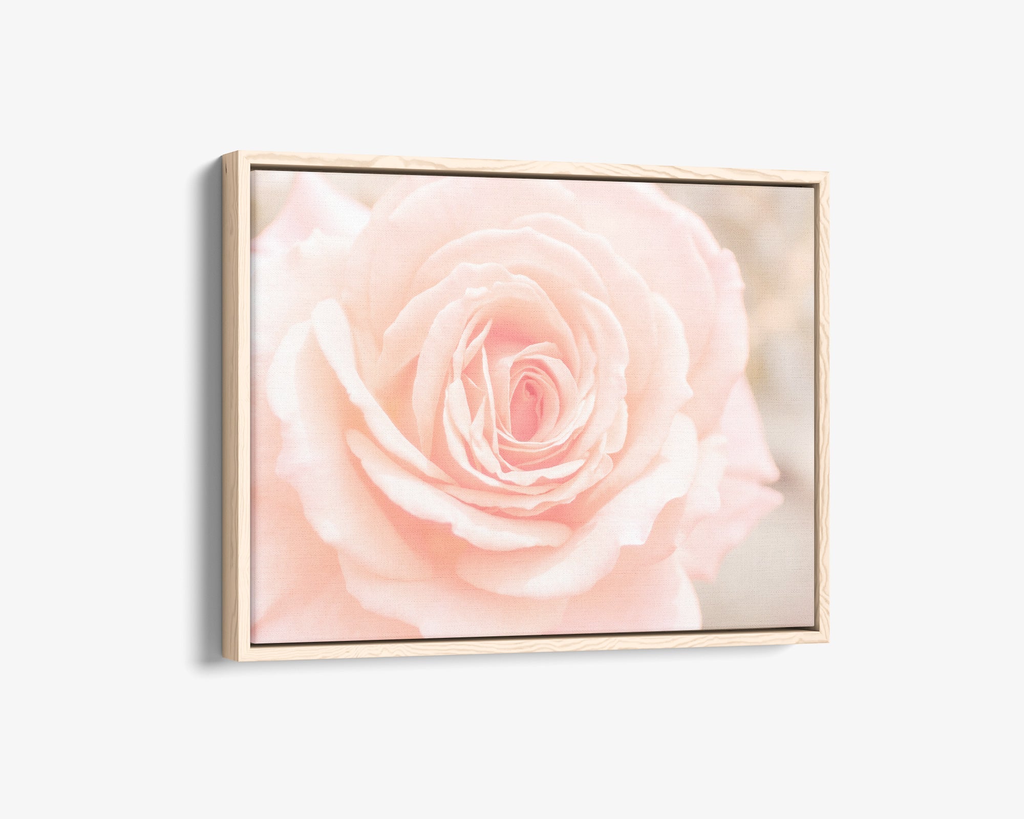 Pink Rose Canvas Wall Art, 'Pink and Shabby'
