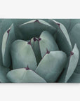 Abstract Teal Green Botanical Wall Art, 'Teal Petals'