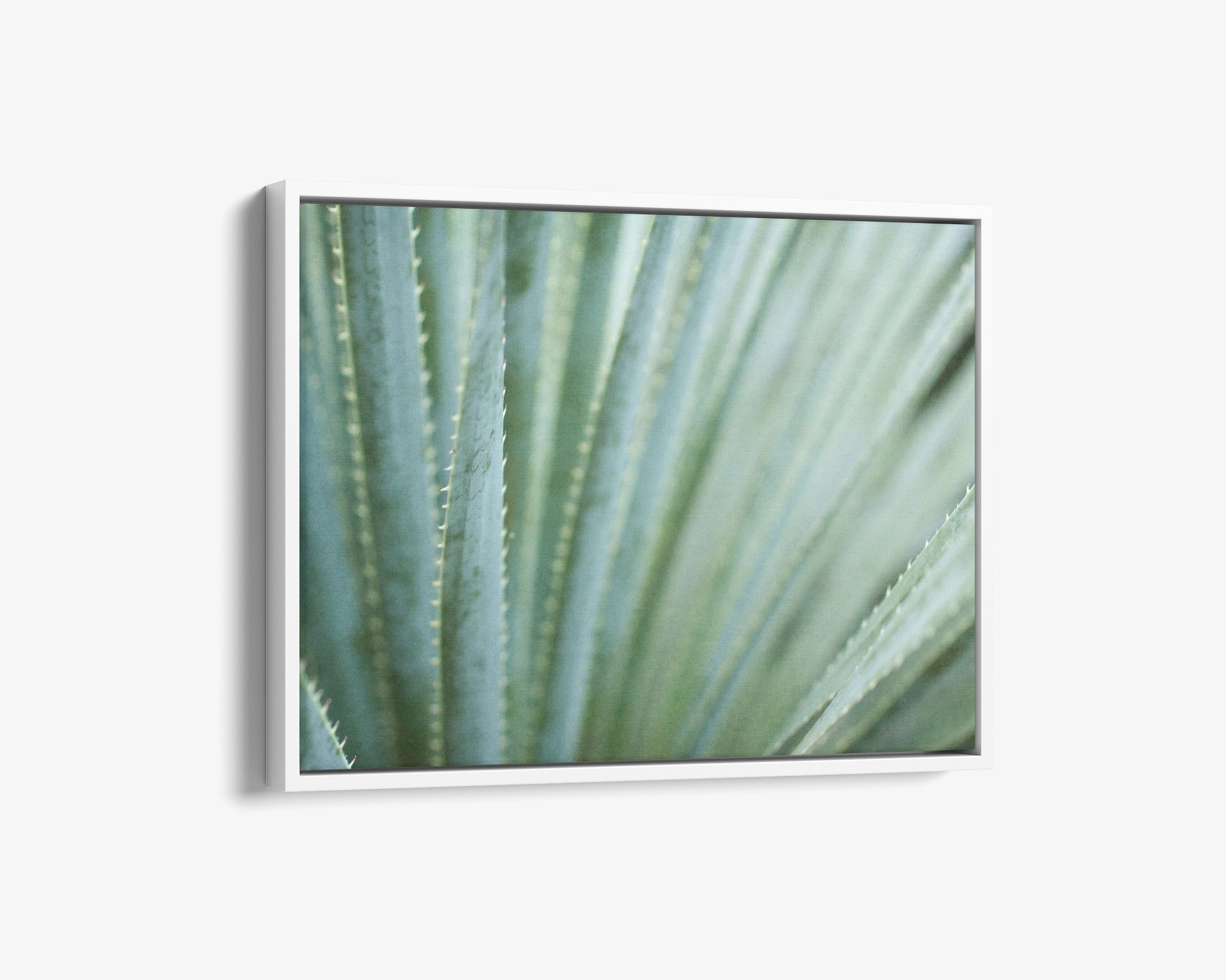 Abstract Green Botanical Canvas Wall Art, 'Strands and Spikes'