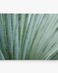 Abstract Green Botanical Canvas Wall Art, 'Strands and Spikes'