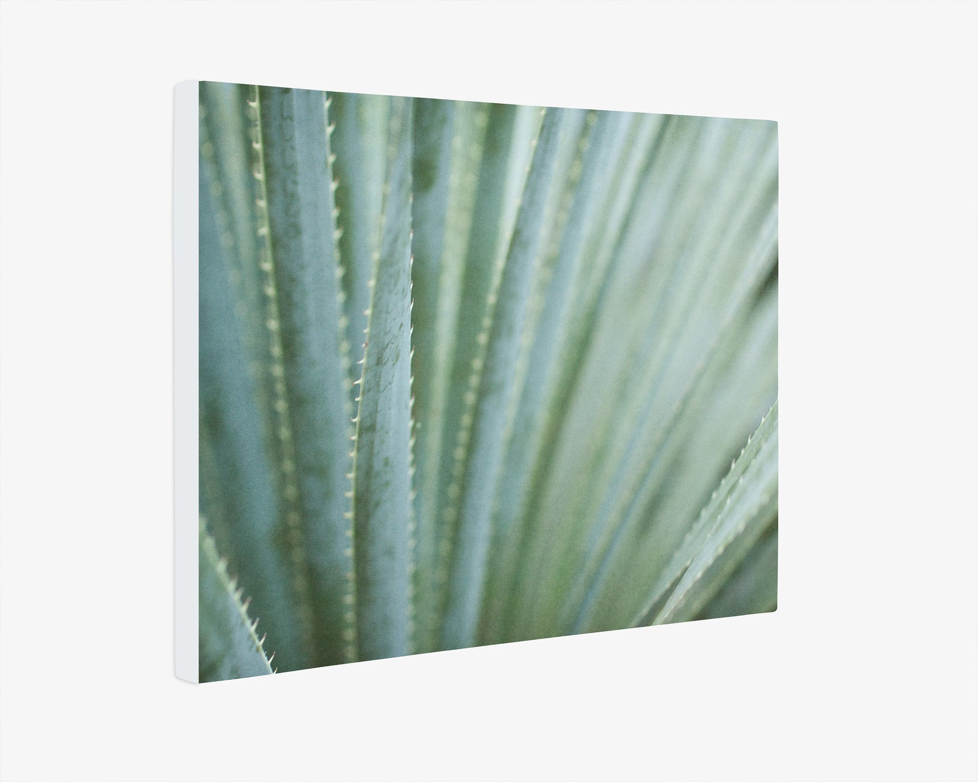 Abstract Green Botanical Canvas Wall Art, 'Strands and Spikes'