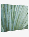 Abstract Green Botanical Canvas Wall Art, 'Strands and Spikes'