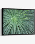 Abstract Green Botanical Canvas Wall Art, 'Desert Fireworks'