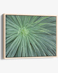 Abstract Green Botanical Canvas Wall Art, 'Desert Fireworks'