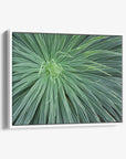 Abstract Green Botanical Canvas Wall Art, 'Desert Fireworks'