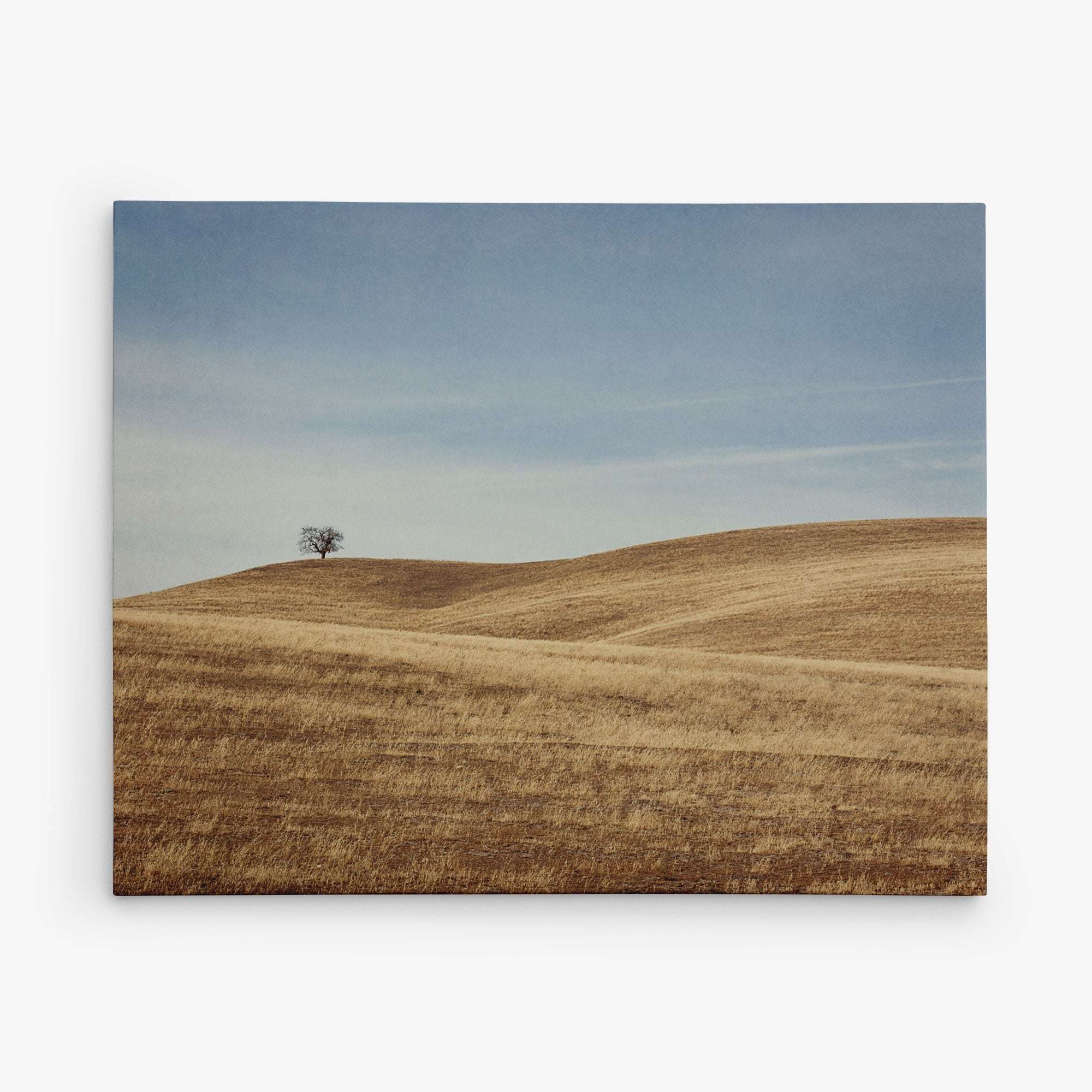 A solitary tree on a gentle hill of dry, golden grass under a clear blue sky evokes the serene beauty and tranquility captured in Offley Green's 8x10 Rustic Canvas Prints. Choose from 10+ designs to bring this profound sense of isolation home.
