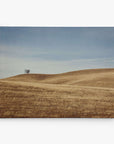 A solitary tree on a gentle hill of dry, golden grass under a clear blue sky evokes the serene beauty and tranquility captured in Offley Green's 8x10 Rustic Canvas Prints. Choose from 10+ designs to bring this profound sense of isolation home.