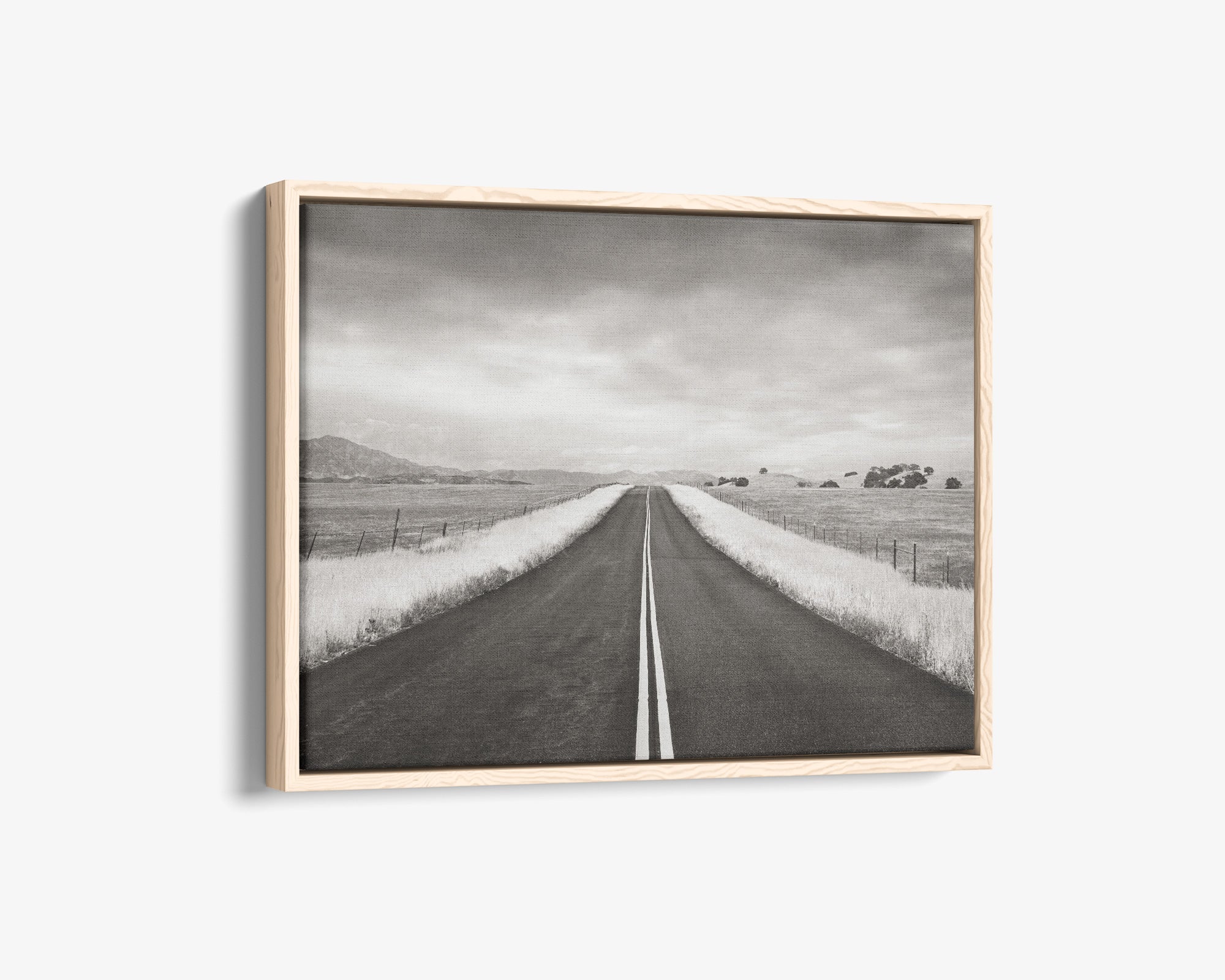 Black and White Rural Landscape Canvas Art, 'American Road Trip'