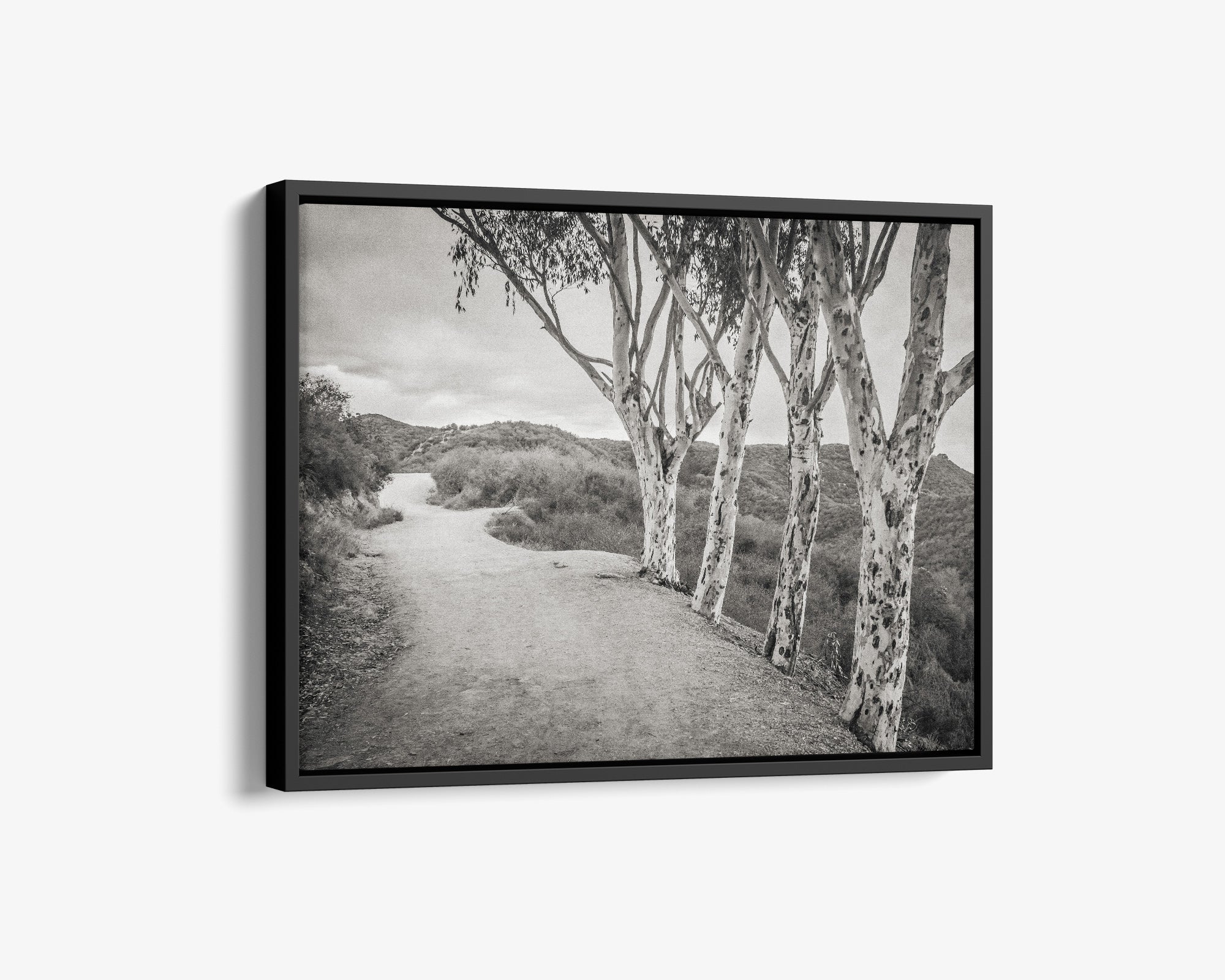 Santa Monica Mountains Pacific Palisade Canvas Wall Art, 'A Storm at Will Rogers (Black & White)'