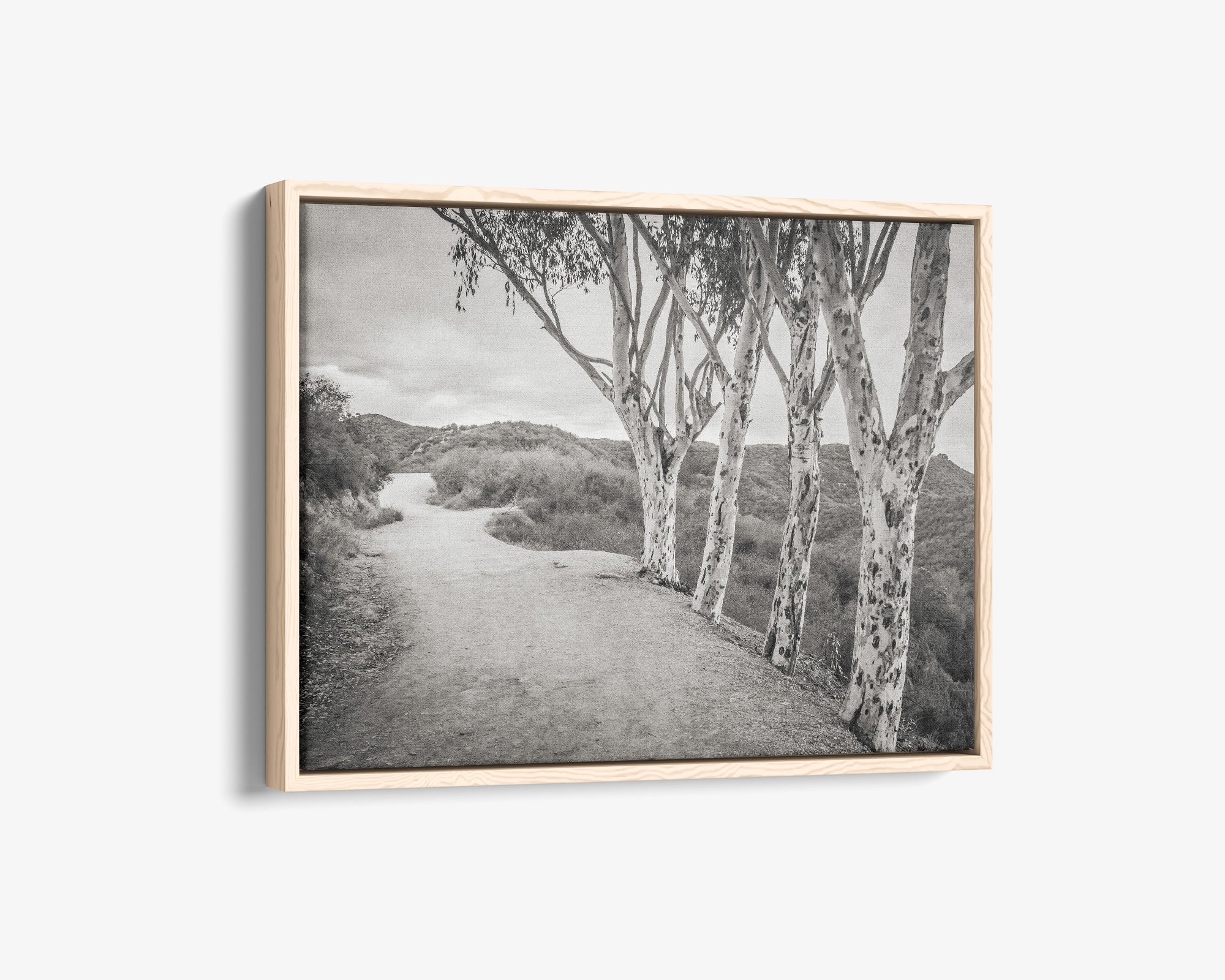 Santa Monica Mountains Pacific Palisade Canvas Wall Art, 'A Storm at Will Rogers (Black & White)'