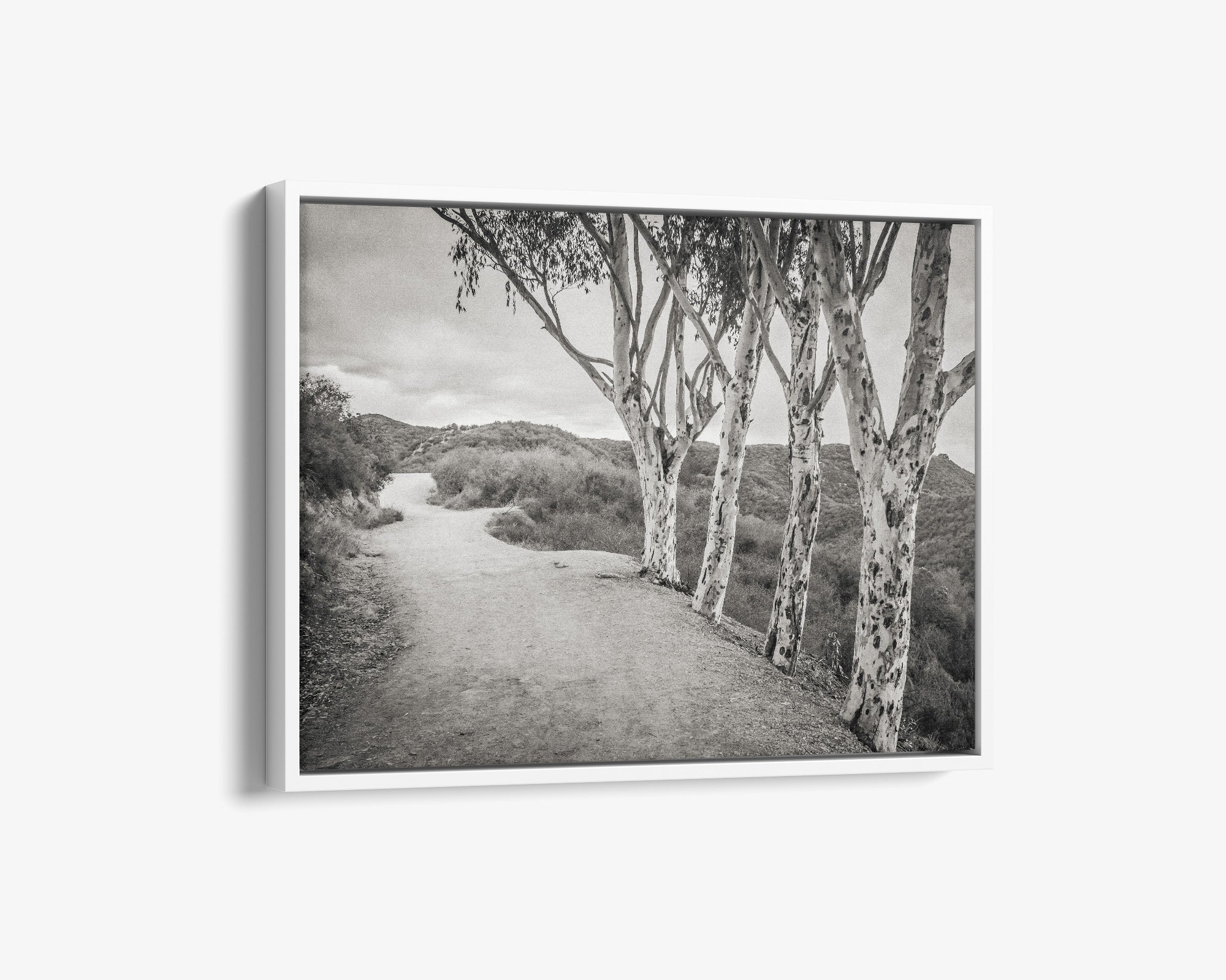 Santa Monica Mountains Pacific Palisade Canvas Wall Art, 'A Storm at Will Rogers (Black & White)'