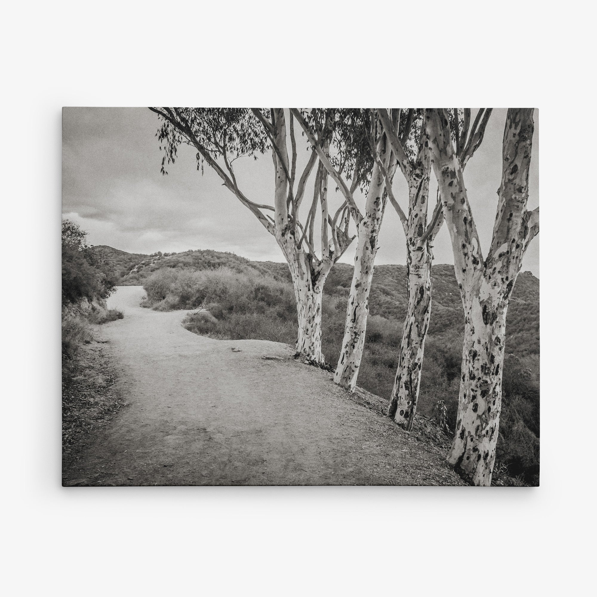 Santa Monica Mountains Pacific Palisade Canvas Wall Art, 'A Storm at Will Rogers (Black & White)'