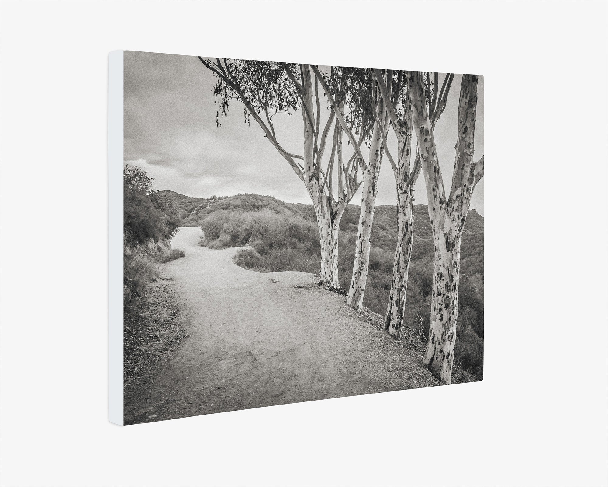 Santa Monica Mountains Pacific Palisade Canvas Wall Art, 'A Storm at Will Rogers (Black & White)'