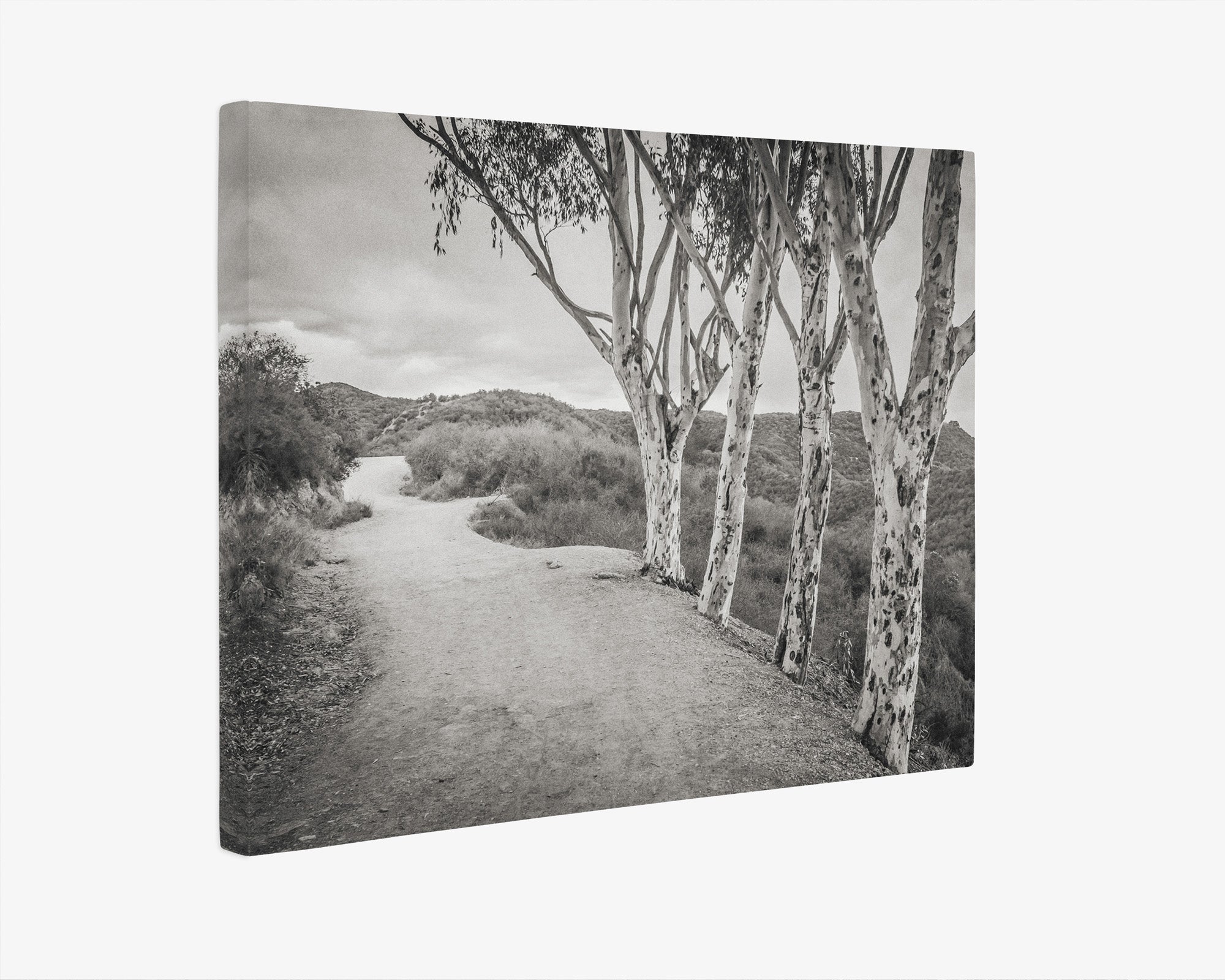 Santa Monica Mountains Pacific Palisade Canvas Wall Art, 'A Storm at Will Rogers (Black & White)'