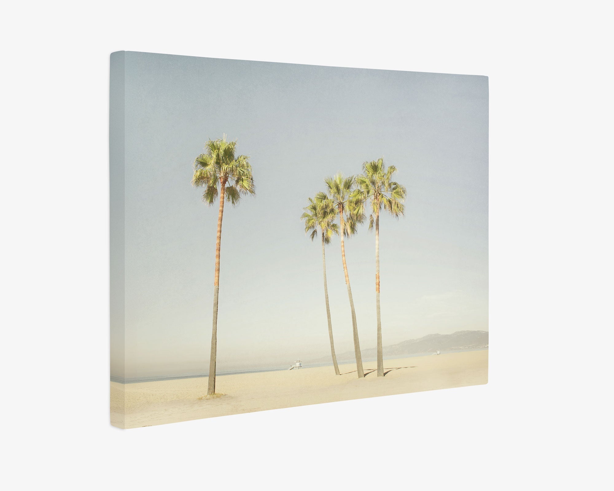 A minimalist photograph capturing a serene beach scene with five tall palm trees standing in the sand. The sky is clear with a faint haze, creating a calm and peaceful atmosphere. The background includes distant, barely visible mountains—perfect for Offley Green's 30x40 California Canvas Print (Choose from 10+ Designs). Ideal as wall art or for your canvas gallery wrap collection.