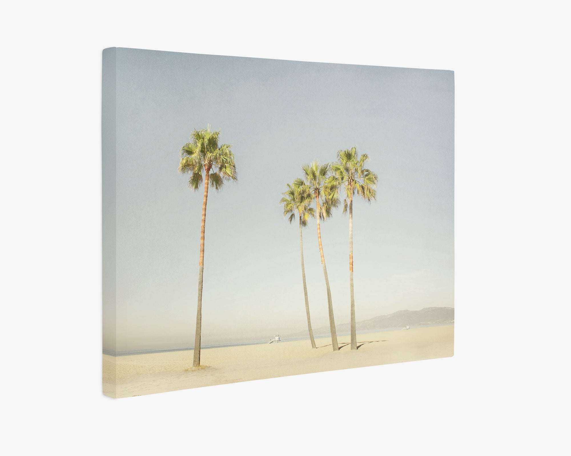 Offley Green's set of four eco-friendly canvas prints features a serene beach with five tall palms on sandy shores, under a clear hazy sky with muted blue hues, offering a tranquil, minimalist look ideal for gallery wrap displays.