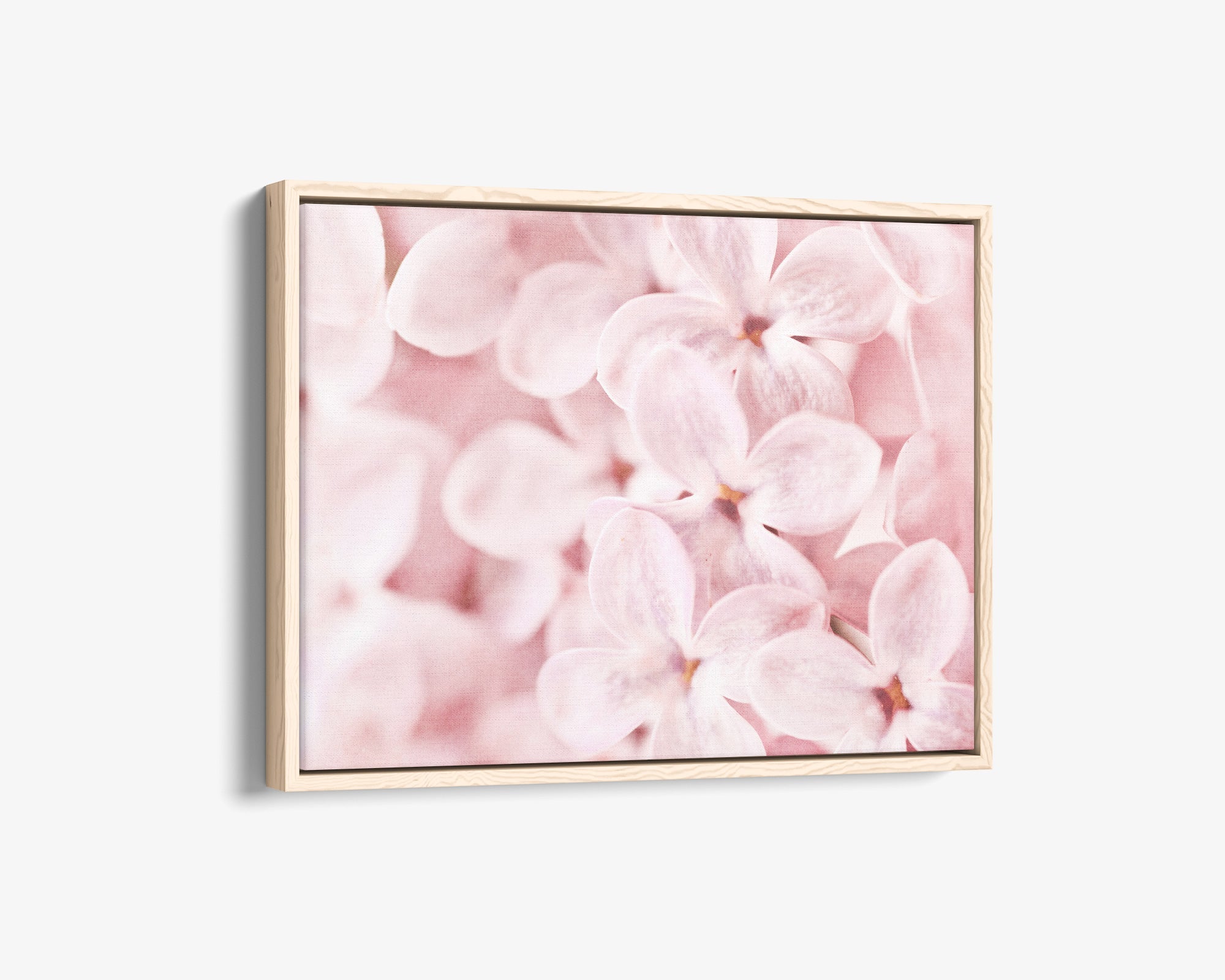 Pink Botanical Canvas Wall Art, 'Bed of Lilacs'