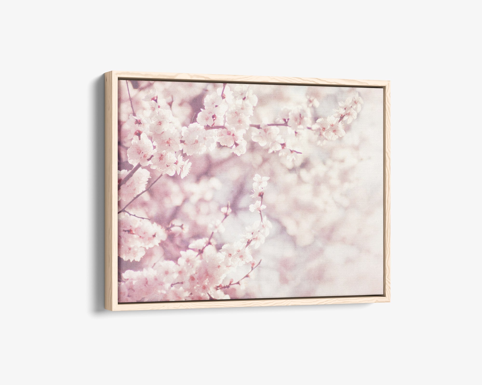 Pink Canvas Wall Art, 'Dreamy Blossom'