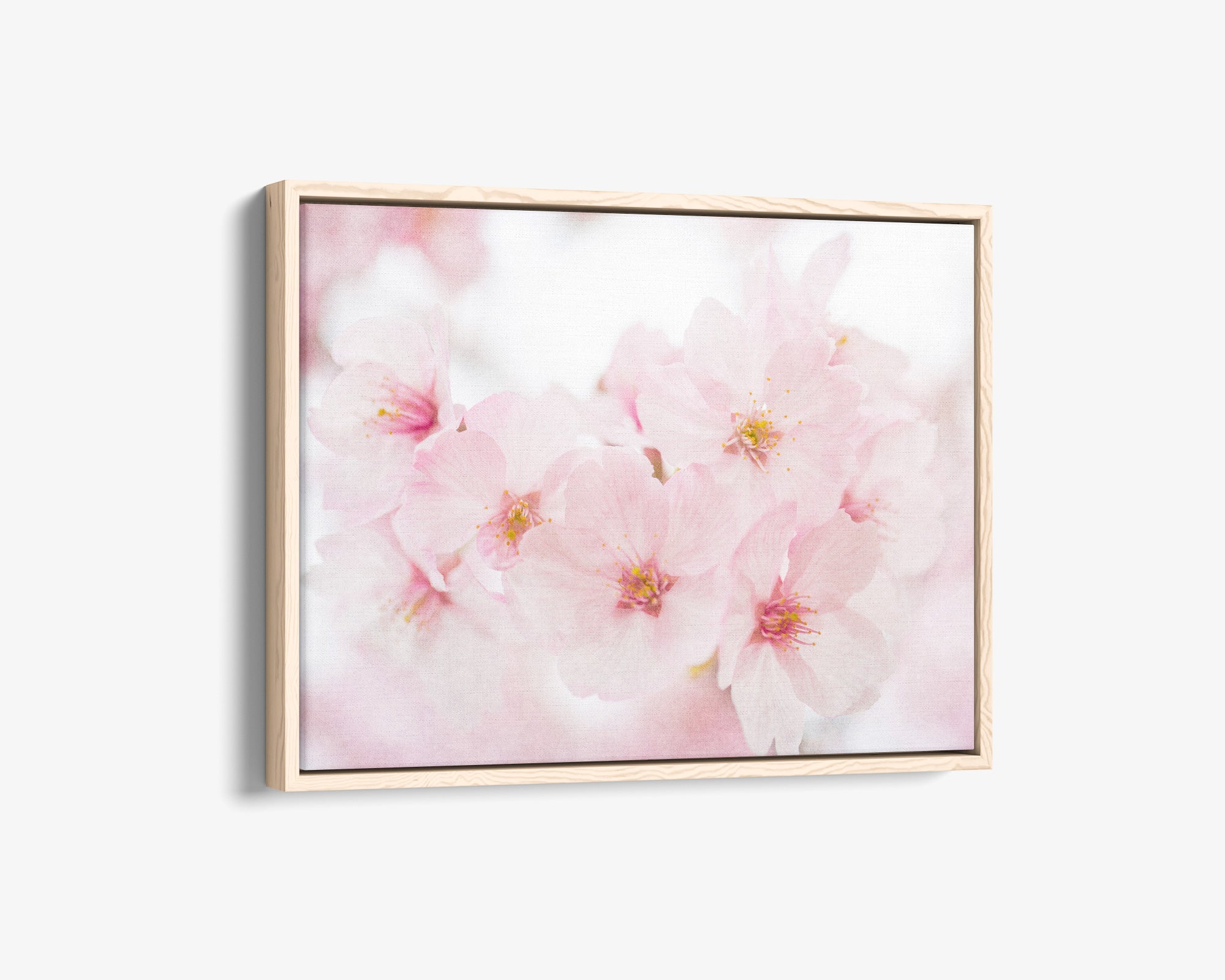 Pink Flower Canvas Wall Art, 'Cherry Blossom'